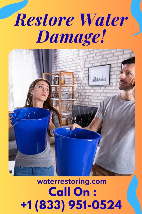 water restoration First Disaster Cleanup Co Baylis
