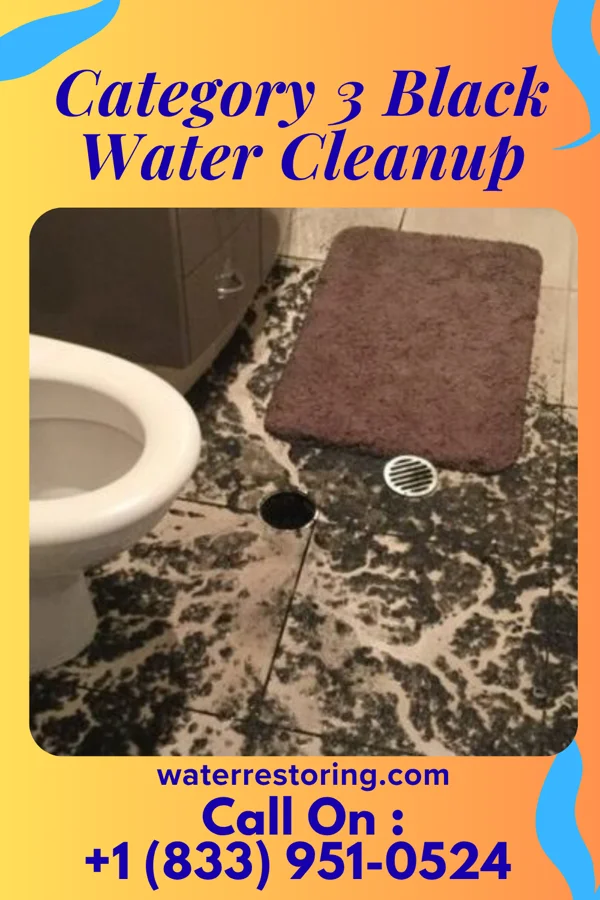 Category 3 Black Water Cleanup in Baylis, IL