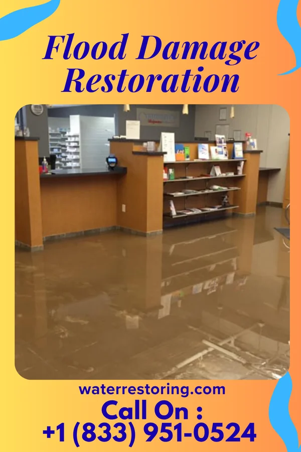 Flood Damage Restoration in Baylis, IL