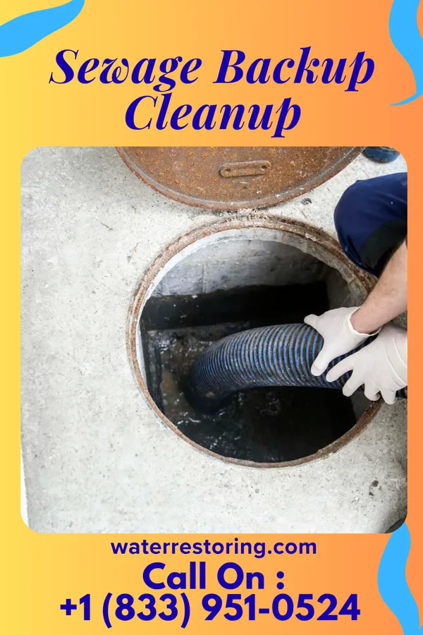 Sewage Backup Cleanup in Baylis, IL